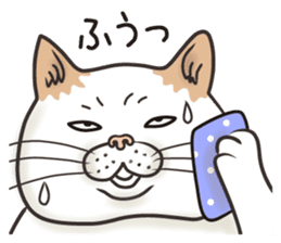 Cat Looks 3 -ugly cat sticker- sticker #4030810