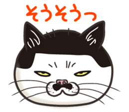 Cat Looks 3 -ugly cat sticker- sticker #4030812