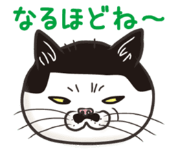 Cat Looks 3 -ugly cat sticker- sticker #4030814