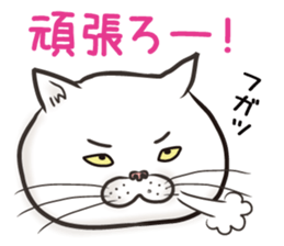 Cat Looks 3 -ugly cat sticker- sticker #4030818