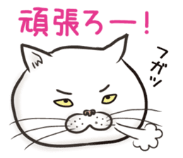 Cat Looks 3 -ugly cat sticker- sticker #4030818
