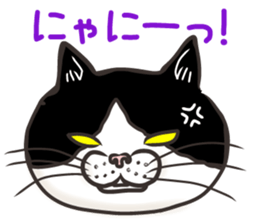 Cat Looks 3 -ugly cat sticker- sticker #4030825