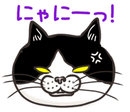 Cat Looks 3 -ugly cat sticker- sticker #4030825