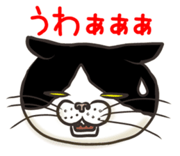 Cat Looks 3 -ugly cat sticker- sticker #4030826
