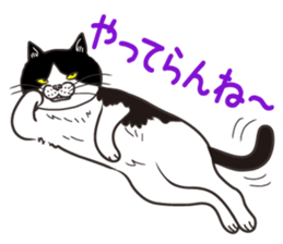 Cat Looks 3 -ugly cat sticker- sticker #4030827