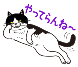 Cat Looks 3 -ugly cat sticker- sticker #4030827