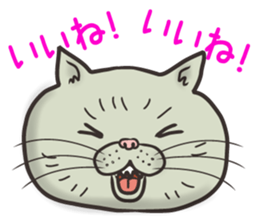 Cat Looks 3 -ugly cat sticker- sticker #4030828