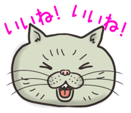Cat Looks 3 -ugly cat sticker- sticker #4030828