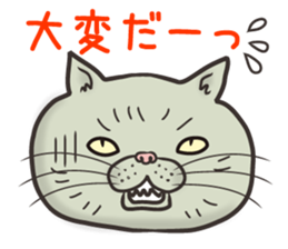 Cat Looks 3 -ugly cat sticker- sticker #4030829