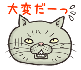 Cat Looks 3 -ugly cat sticker- sticker #4030829