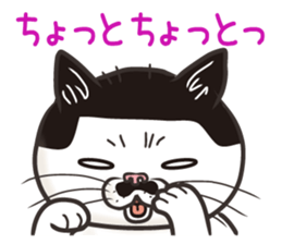 Cat Looks 3 -ugly cat sticker- sticker #4030832