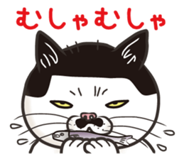 Cat Looks 3 -ugly cat sticker- sticker #4030833