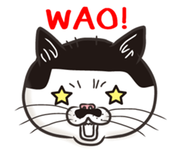 Cat Looks 3 -ugly cat sticker- sticker #4030836