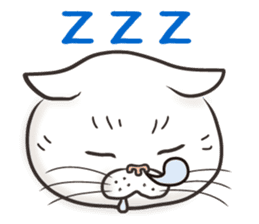 Cat Looks 3 -ugly cat sticker- sticker #4030841