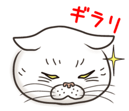 Cat Looks 3 -ugly cat sticker- sticker #4030842