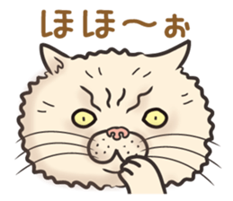 Cat Looks 3 -ugly cat sticker- sticker #4030845