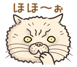 Cat Looks 3 -ugly cat sticker- sticker #4030845