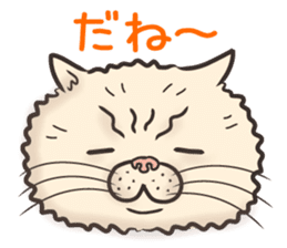 Cat Looks 3 -ugly cat sticker- sticker #4030846