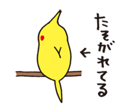 Cockatiel of cure sticker #4030863