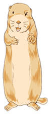 Lovely gesture of prairie dogs sticker #4031013