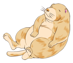 Lovely gesture of prairie dogs sticker #4031018