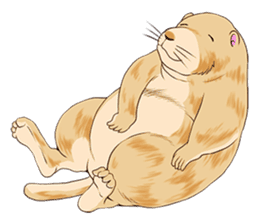 Lovely gesture of prairie dogs sticker #4031018