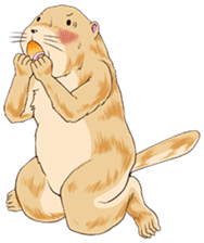 Lovely gesture of prairie dogs sticker #4031019