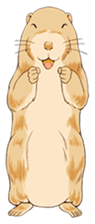 Lovely gesture of prairie dogs sticker #4031023