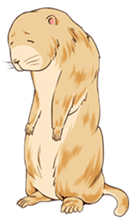 Lovely gesture of prairie dogs sticker #4031029