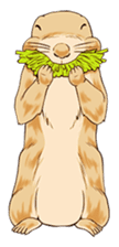 Lovely gesture of prairie dogs sticker #4031030