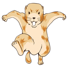 Lovely gesture of prairie dogs sticker #4031034