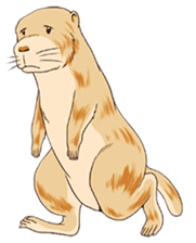 Lovely gesture of prairie dogs sticker #4031039