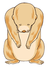 Lovely gesture of prairie dogs sticker #4031040