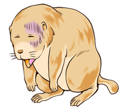 Lovely gesture of prairie dogs sticker #4031045