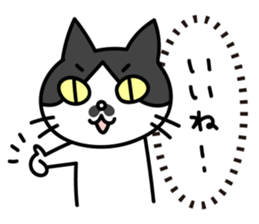 Real intention Cat "CHOBI" 2 sticker #4031128