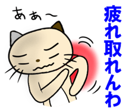 cat cat for men sticker #4032416