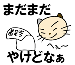 cat cat for men sticker #4032426