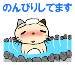 cat cat for men sticker #4032439