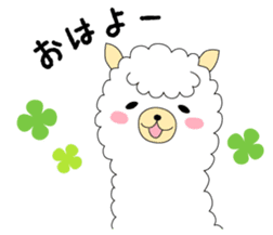 Fluffy animal alpaca's Sticker sticker #4035493