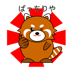 Red panda in Kansai region of Japan 2