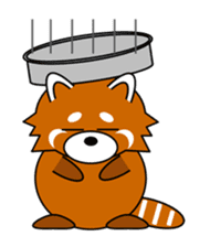 Red panda in Kansai region of Japan 2 sticker #4039128