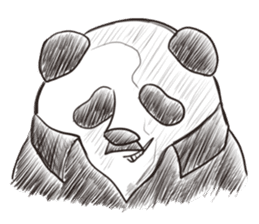 Panda Dandy sticker #4041466
