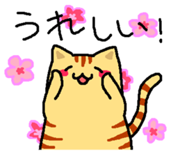 Tiger cat "Tora" sticker #4041525