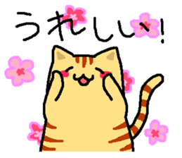 Tiger cat "Tora" sticker #4041525