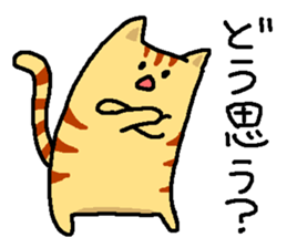 Tiger cat "Tora" sticker #4041532