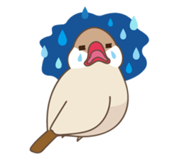 Its name Java sparrow (English version) sticker #4042381