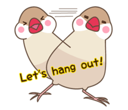 Its name Java sparrow (English version) sticker #4042411