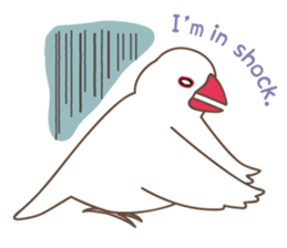Its name Java sparrow (English version) sticker #4042412