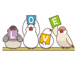 Its name Java sparrow (English version) sticker #4042415