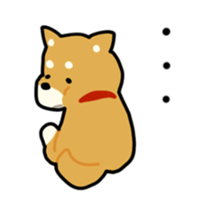 sibainu dog  Sticker sticker #4042656